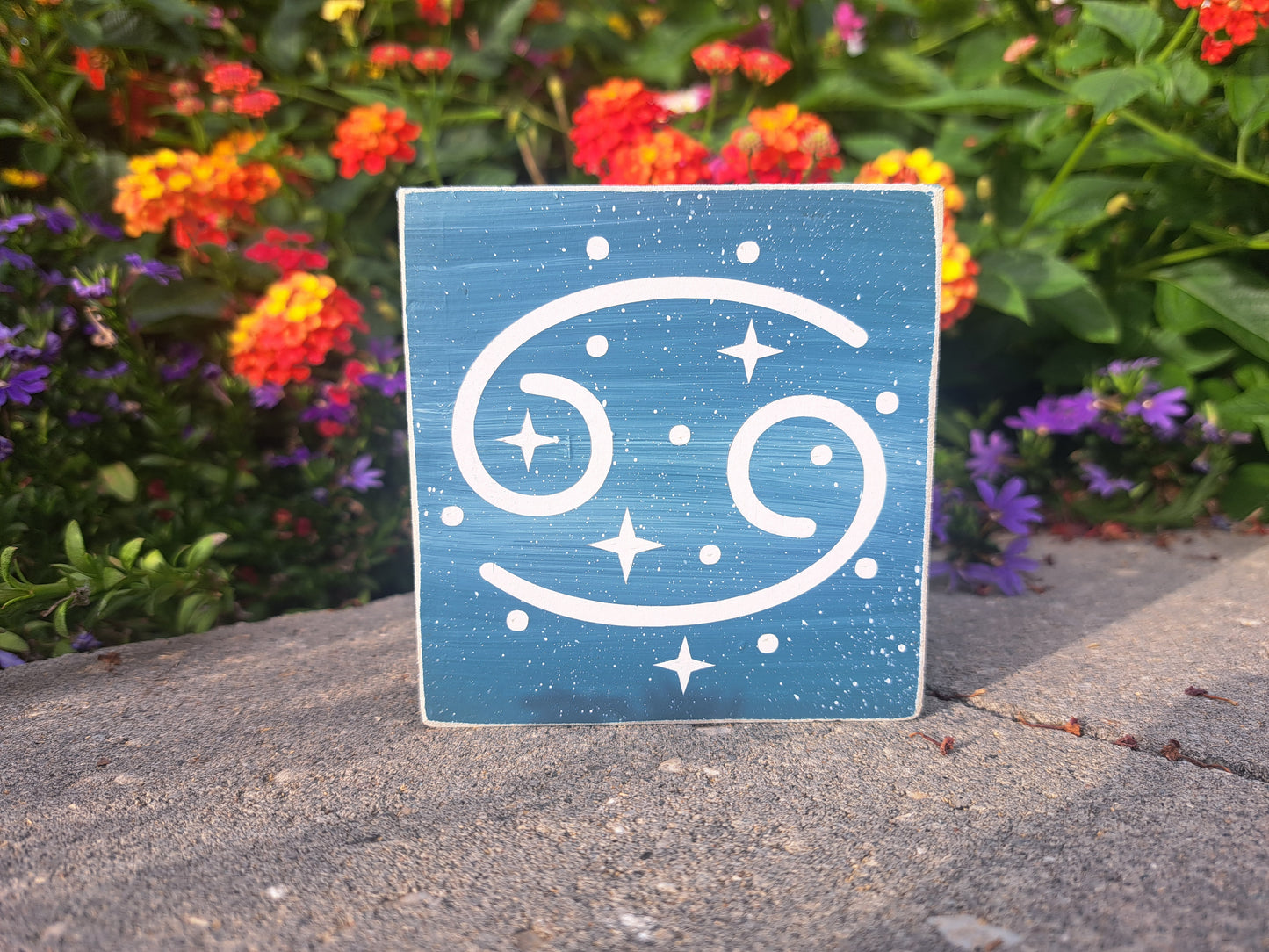 Mini Zodiac Signs