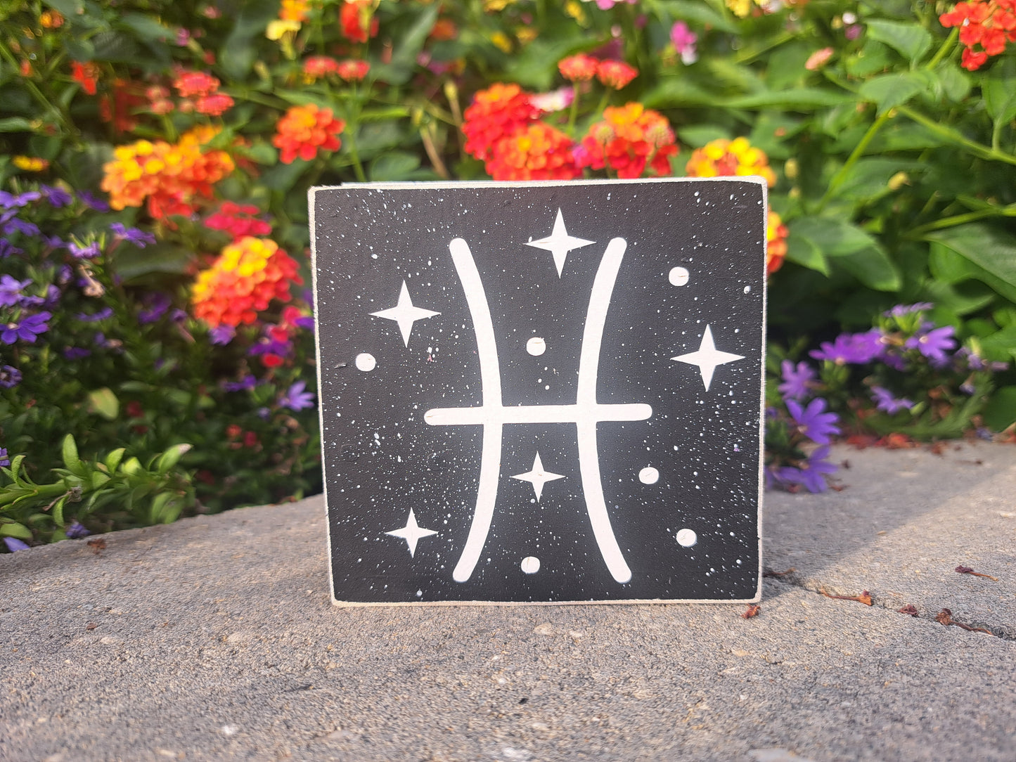 Mini Zodiac Signs