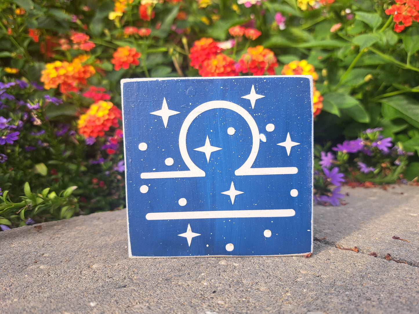Mini Zodiac Signs