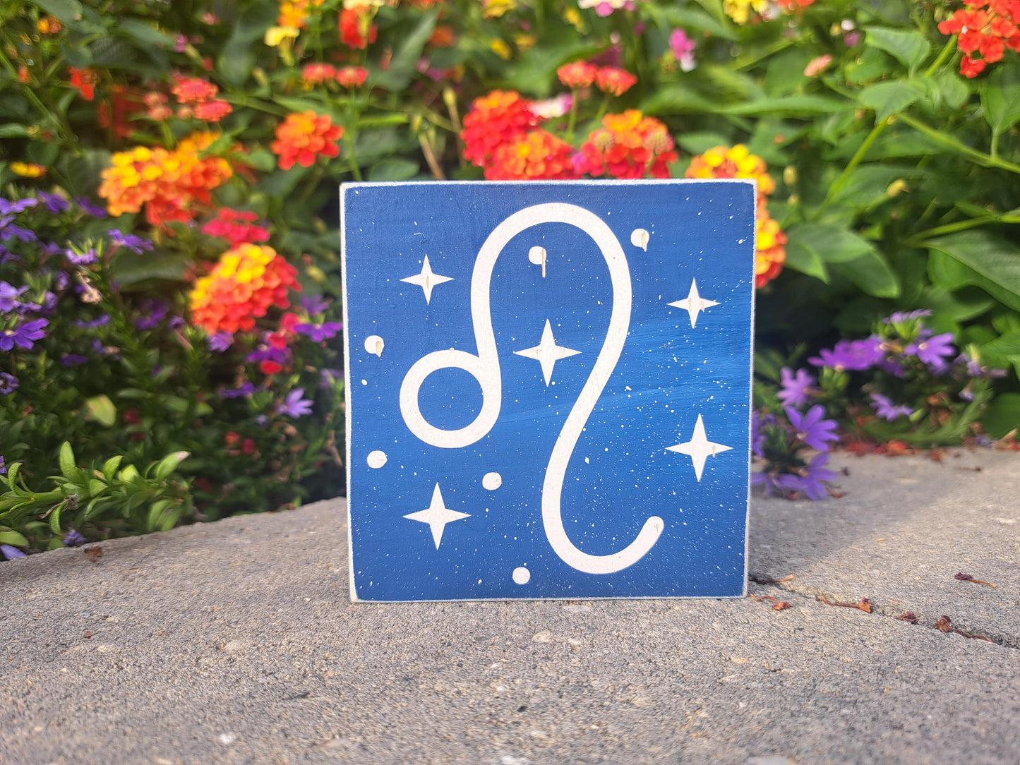 Mini Zodiac Signs