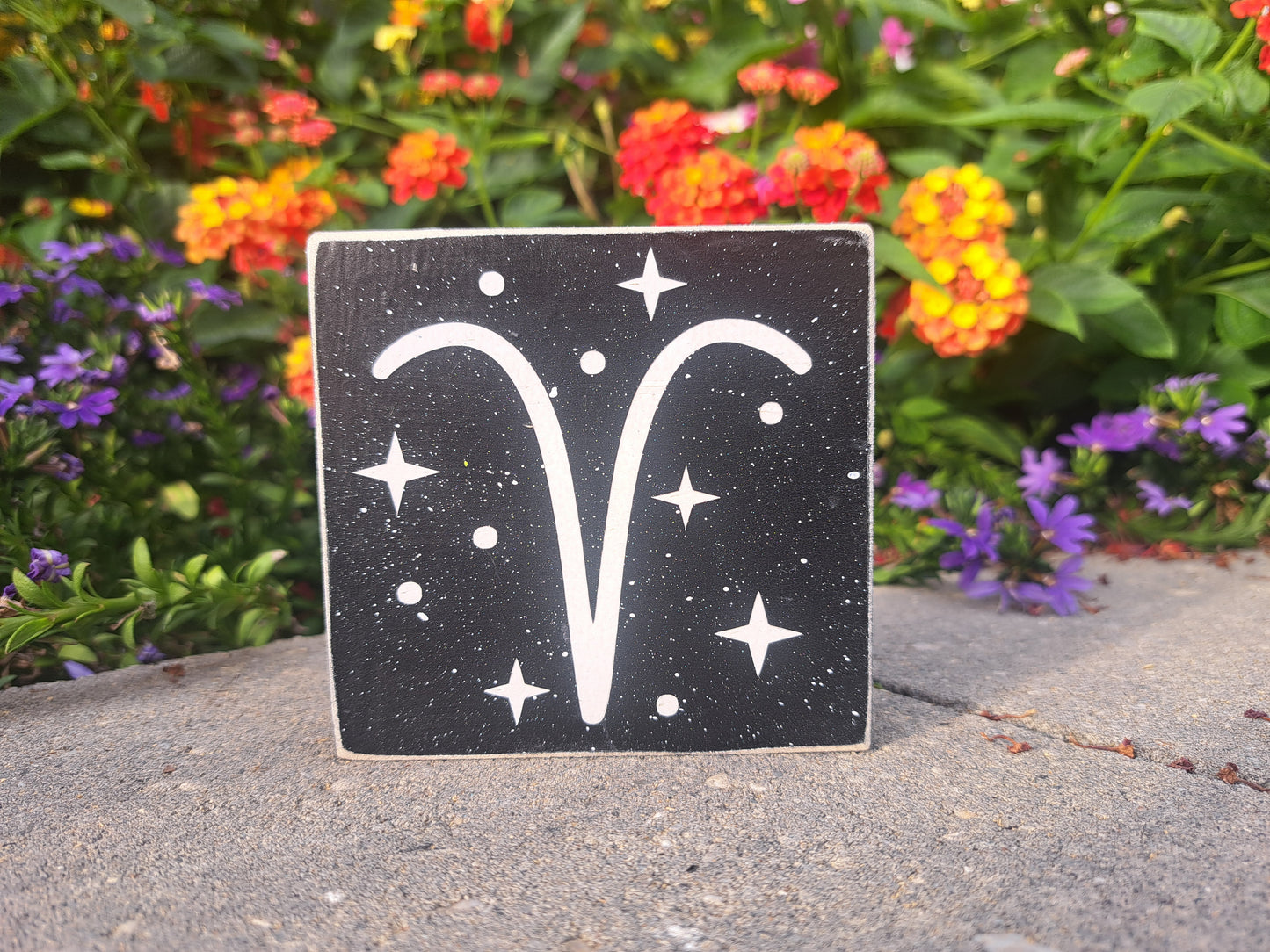 Mini Zodiac Signs