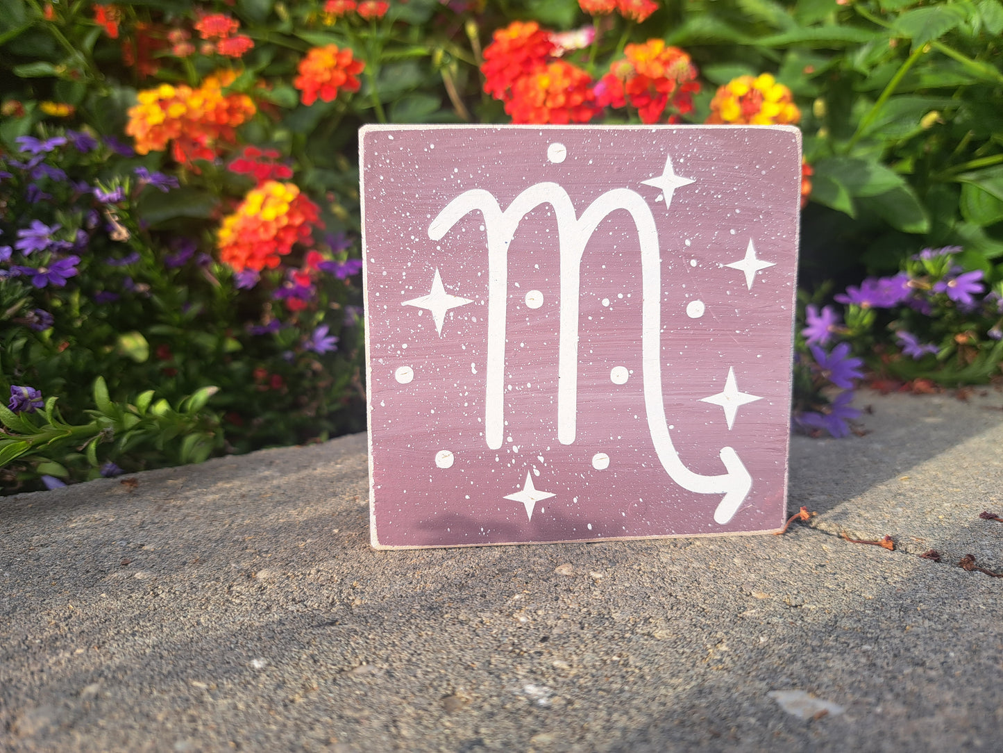 Mini Zodiac Signs