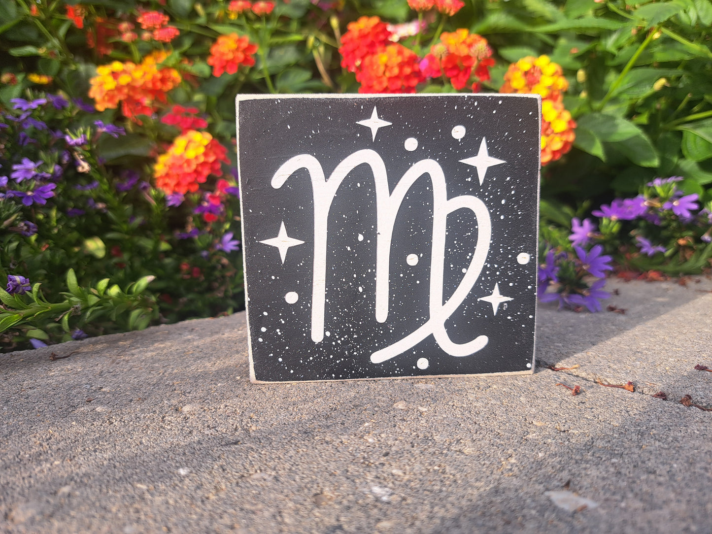 Mini Zodiac Signs