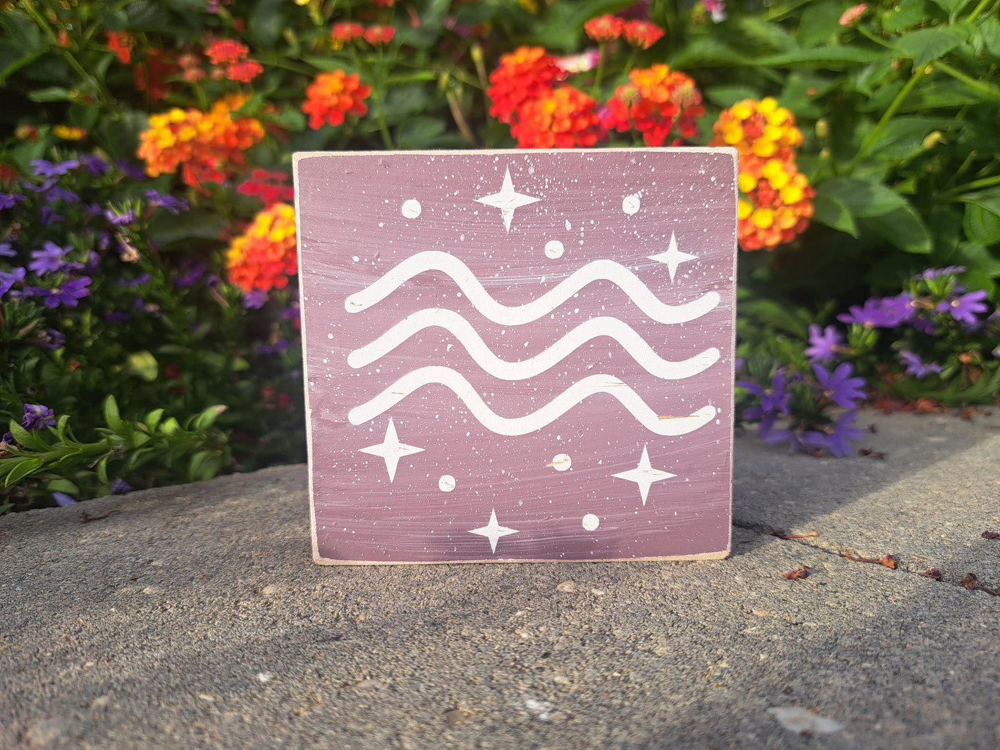 Mini Zodiac Signs