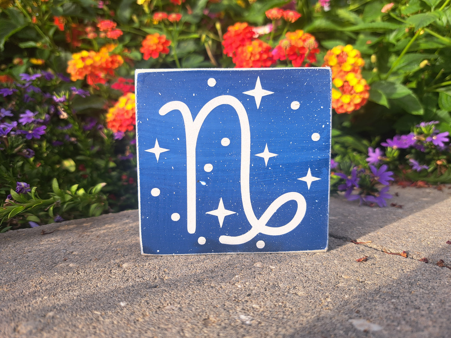 Mini Zodiac Signs