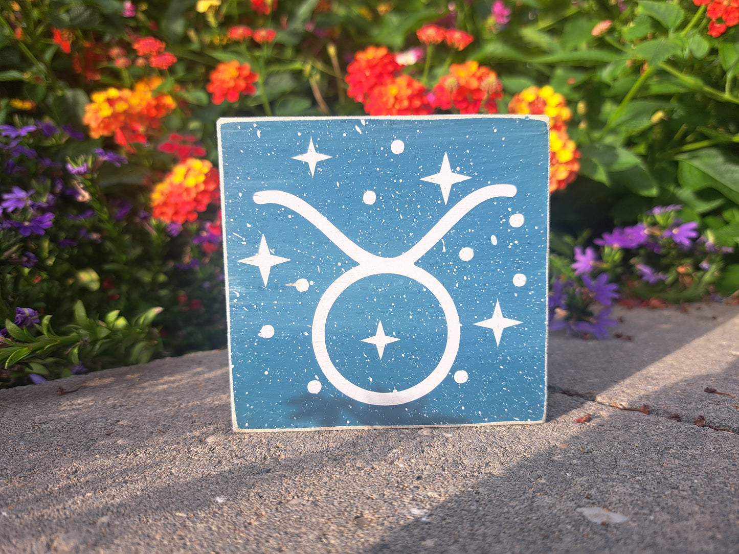 Mini Zodiac Signs