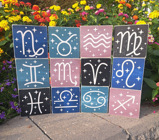 Mini Zodiac Signs