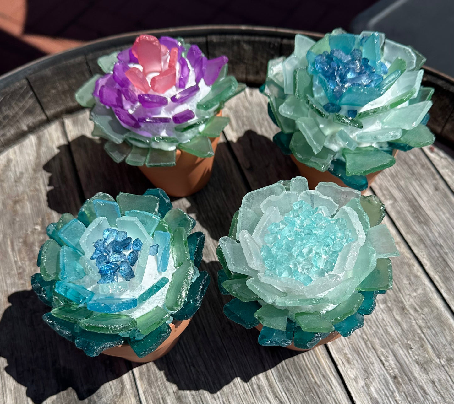 Sea Glass Succulent Trio - Calgo Gardens January 17th