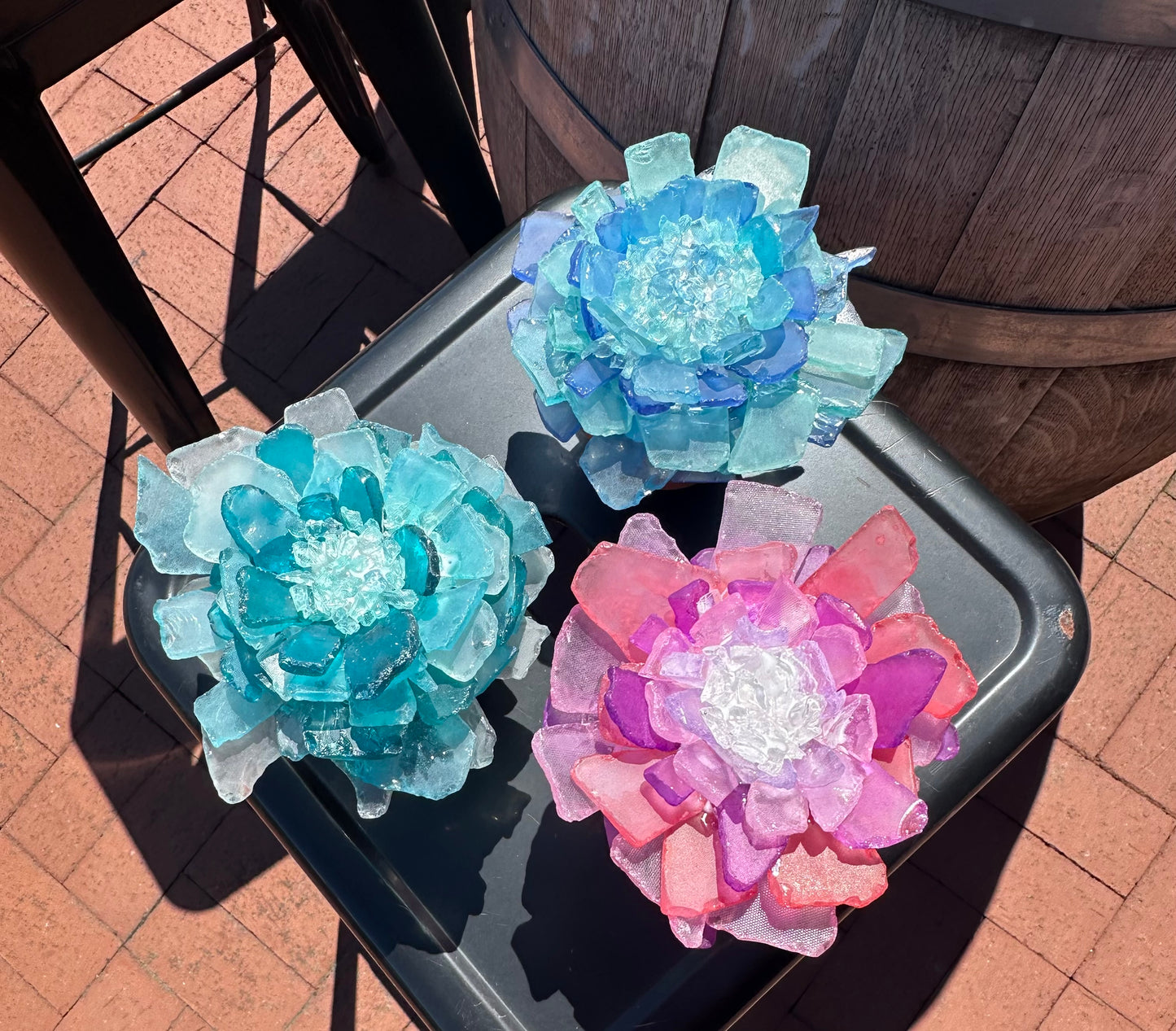 Sea Glass Succulent Trio - Calgo Gardens January 17th