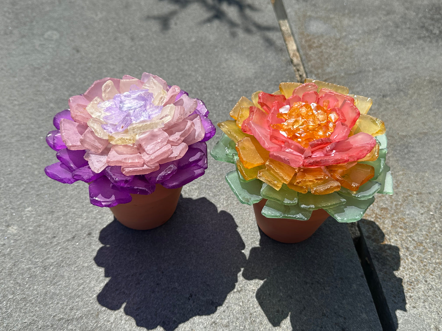 Sea Glass Succulent Trio - Calgo Gardens January 17th