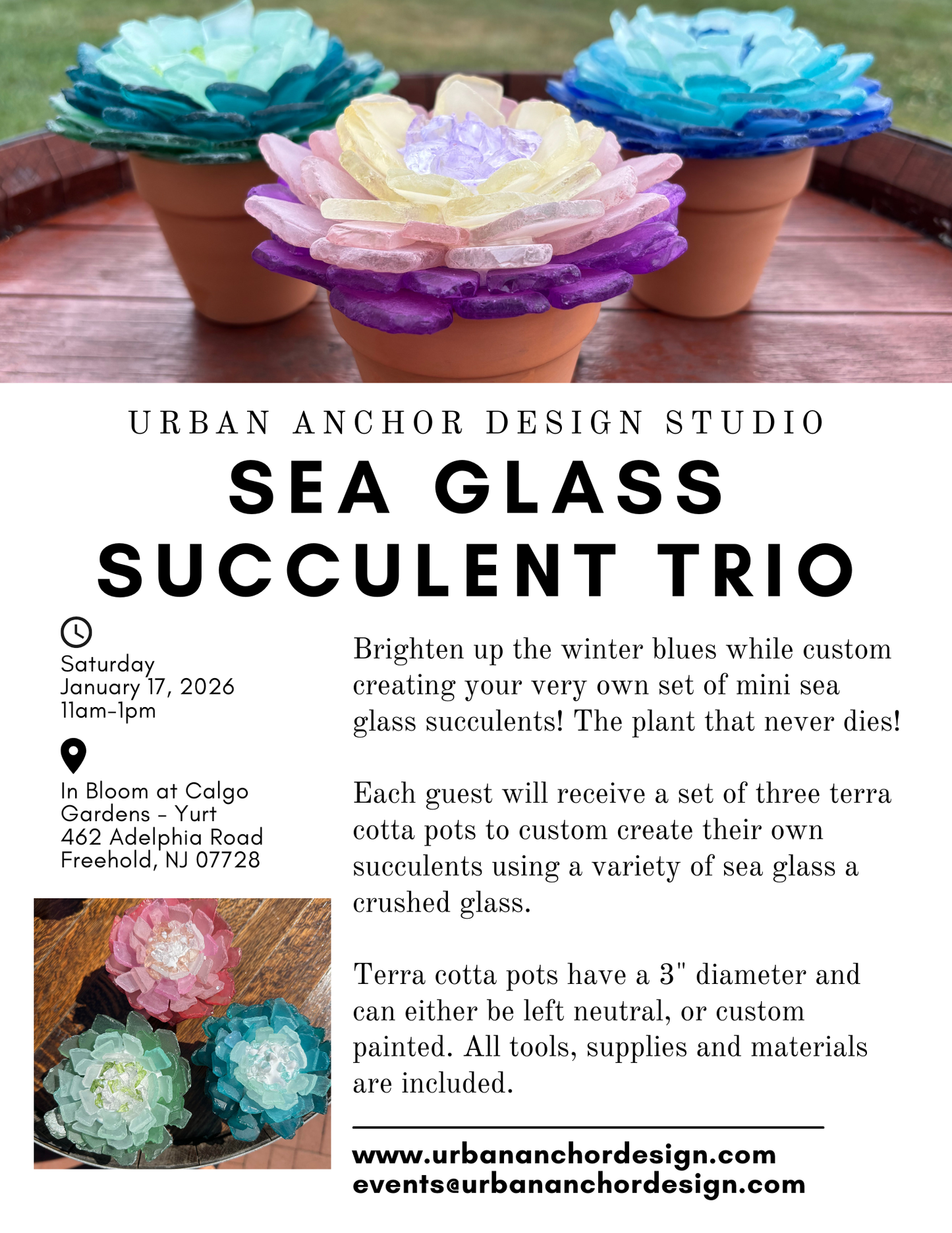 Sea Glass Succulent Trio - Calgo Gardens January 17th